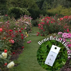 Beneficial Insect Subscription