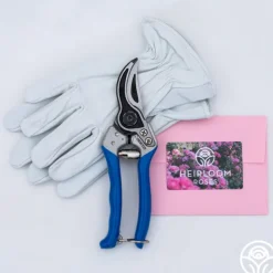 Bloom & Prune Gift Set