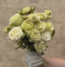 Green Romantica®