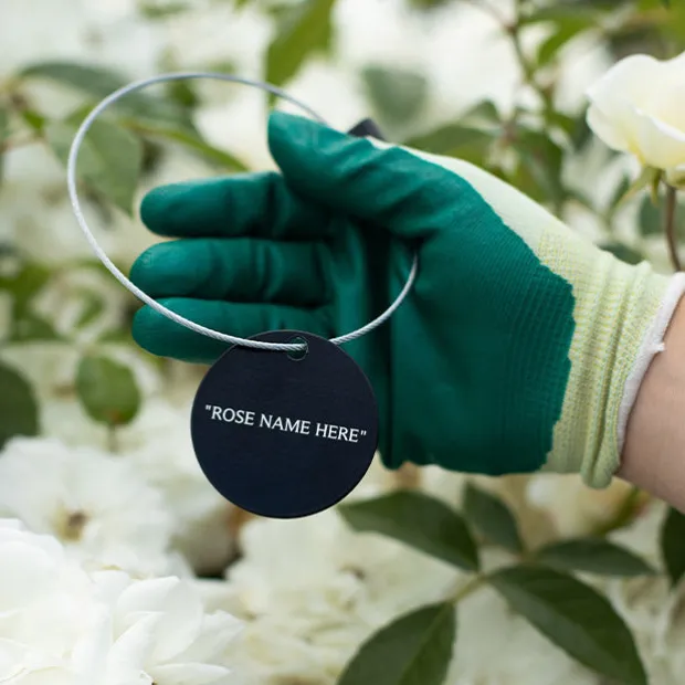 Lover's Blush™ Tag