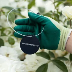 Mother of Pearl® Tag