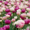 Romantic Mix
