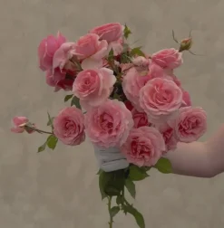 Tournament of Roses