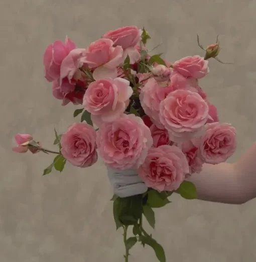 Tournament of Roses