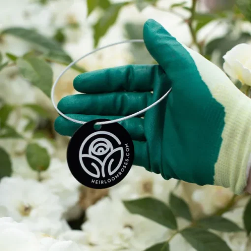 White Veranda® Tag