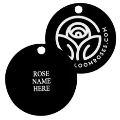 Windsor Castle Wedding Tag