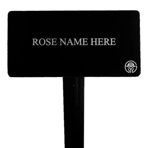 Winter Sunset Stake
