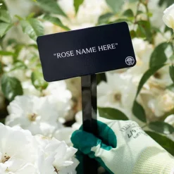 World War II Memorial Rose™ Stake