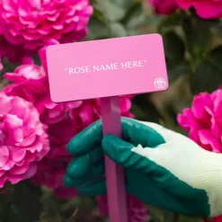 Zéphirine Drouhin Stake