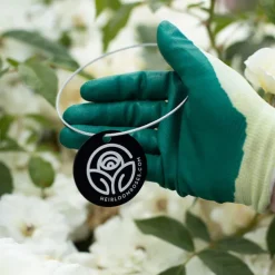 Zéphirine Drouhin Tag